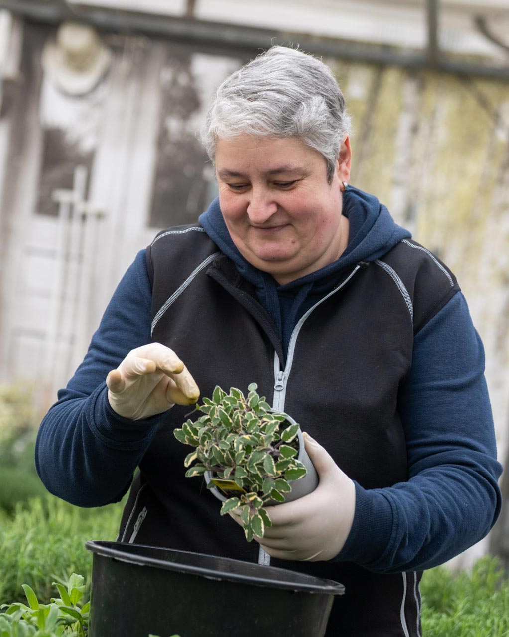 Pflanzenmarkt - Salzachblume 2025 Pflanzenmarkt - Salzachblume 2025